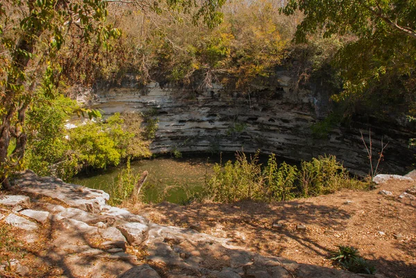 Cenote está localizado no território das pirâmides. Chichen Itza no México — Fotografia de Stock