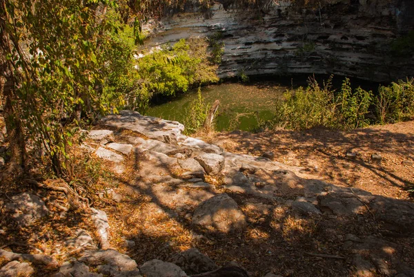 Cenote se encuentra en el territorio de las pirámides. Chichén Itzá en México —  Fotos de Stock