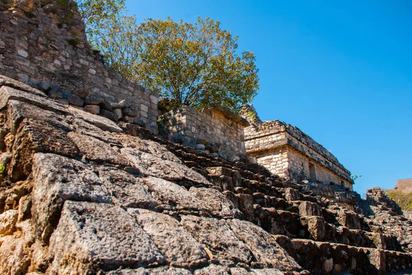 Величественные руины в Эк Баламе. Эк-Балам является археологическим памятником майя юкатец в муниципалитете Темосон, Юкатан, Мексика . — стоковое фото
