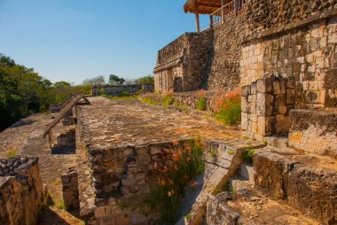 Ek Balam görkemli harabelerde. Ek Balam bir Yucatec Maya arkeolojik Temozon, Yucatan, Meksika Belediyesi içinde sitesidir.