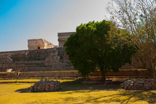 Uxmal, bir Antik Maya kalıntıları. Maya kültürünün en önemli arkeolojik sitelerinden birini. Yucatan, Meksika — Stok fotoğraf