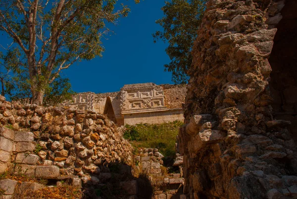 Ruinerna av Uxmal, en forntida Maya. En av de viktigaste arkeologiska platserna i Mayakulturen. Yucatan, Mexiko — Stockfoto