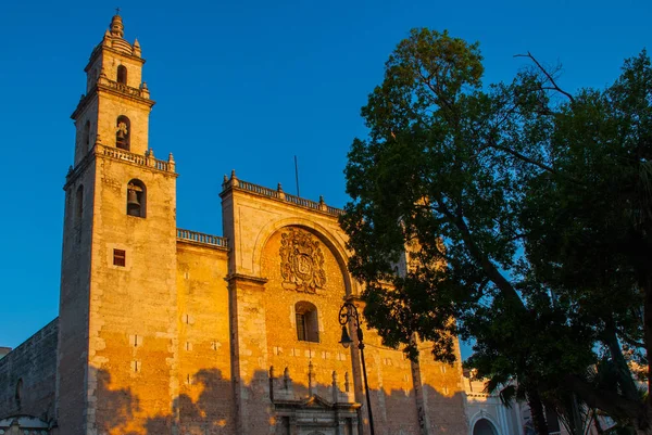 Merida San Ildefonso katedry w godzinach wieczornych. Yucatan. Meksyk — Zdjęcie stockowe