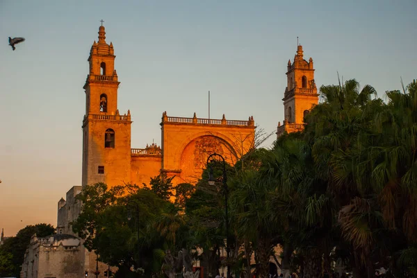 Catedral de Mérida San Ildefonso por la noche. Yucatán. México. — Foto de Stock