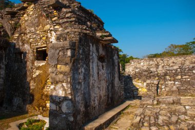 Eski bir maya uygarlığı, iyi korunmuş Güney Meksika'daki Chiapas Güney eyaletinde Selva Palenque kalıntıları. Palenque, Chiapas, Meksika.