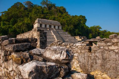 Palenque, Chiapas, Meksika için Maya şehir kalıntıları