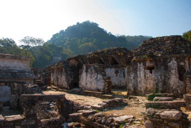 Palenque, Chiapas, Meksika: Arkeolojik sitesi dağlar içinde belgili tanımlık geçmiş. Maya'nın antik kentin peyzaj.