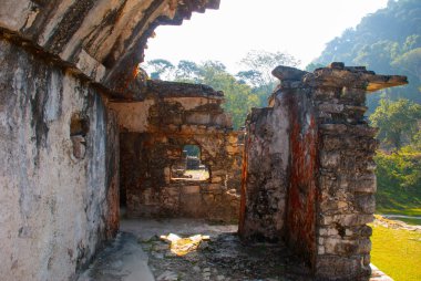 Eski bir maya uygarlığı, iyi korunmuş Güney Meksika'daki Chiapas Güney eyaletinde Selva Palenque kalıntıları. Palenque, Chiapas, Meksika.