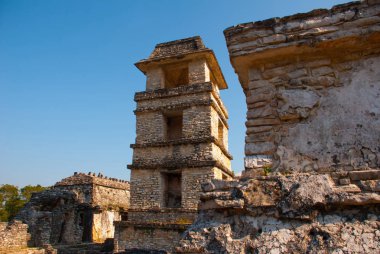 The Palace, Palenque, Chiapas, Meksika: Bir maya buiding Palenque içinde yok eder. Sarayın bir Gözlemevi ile beş katlı kule ile taç