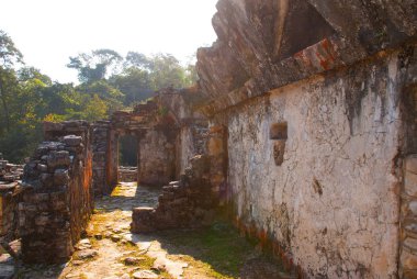 The Palace, Palenque, Chiapas, Meksika: Bir maya buiding Palenque içinde kalıntıları.