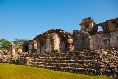 The Palace, Palenque, Chiapas, Meksika: Bir maya buiding Palenque içinde kalıntıları.