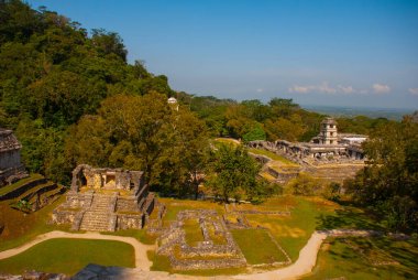 Antik Maya şehir, arkeolojik kalıntıları, Palace, tapınaklar, karmaşık piramitleri. Palenque Chiapas Mexico