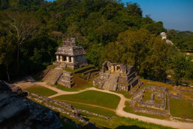 Antik Maya şehir, arkeolojik kalıntıları, Palace, tapınaklar, karmaşık piramitleri. Palenque Chiapas Mexico