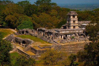 Antik Maya şehir, arkeolojik kalıntıları, Palace, tapınaklar, karmaşık piramitleri. Palenque Chiapas Mexico