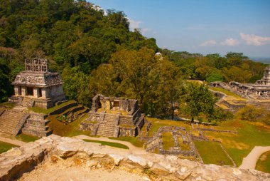 Üstten Görünüm antik piramitler ve tapınaklar arkeolojik kompleks içinde. Palenque, Chiapas, Meksika.