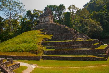 Büyük piramit. Maya'nın antik kentin peyzaj. Eski şablonları Palenque - Chiapas, Meksika Maya kalıntıları