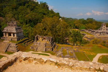 Üstten Görünüm antik piramitler ve tapınaklar arkeolojik kompleks içinde. Palenque, Chiapas, Meksika.