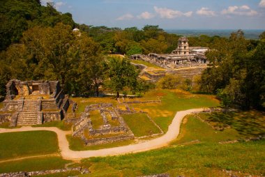 Üstten Görünüm antik piramitler ve tapınaklar arkeolojik kompleks içinde. Palenque, Chiapas, Meksika.