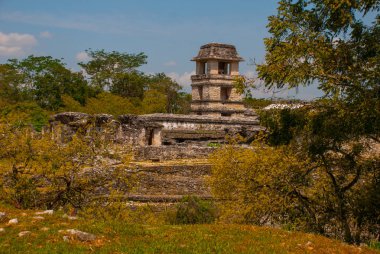 Chiapas, Meksika. Palenque Chiapas ve Meksika Devlet kuzeydoğusunda bir büyük Maya şehir kalıntıları kod adı.