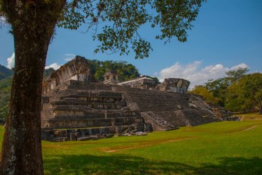 Palenque, Chiapas, Meksika: yemyeşil orman tarafından devir alınmış Maya harabelerini