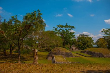 Palenque, Chiapas, Meksika: yemyeşil orman tarafından devir alınmış Maya harabelerini
