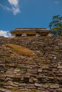 Büyük piramit adımları kapatın. Palenque, Chiapas, Meksika.