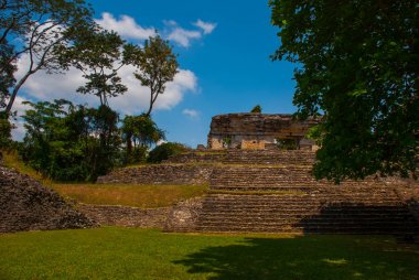 Palenque, Chiapas, Meksika: Güneşli havalarda ağaçlarda arasında adımlarla Antik Maya piramit