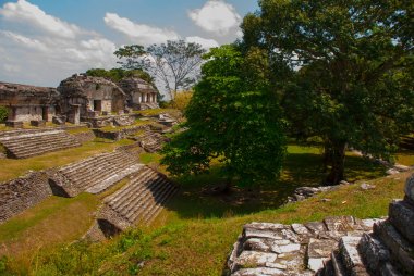 Palenque, Chiapas, Meksika: Güneşli havalarda ağaçlarda arasında Antik Maya şehir