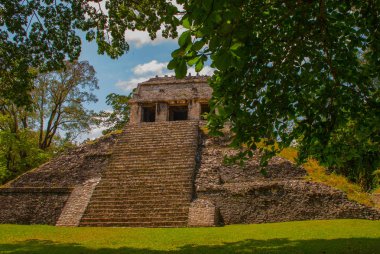 Chiapas, Meksika. Palenque. Yeşil ağaç arka plan üzerinde piramit bırakır. Maya antik kentin peyzaj