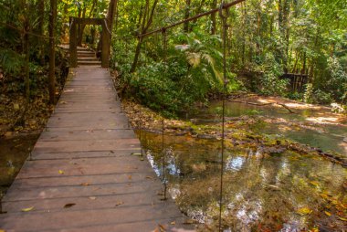 Ormandaki nehir üzerinde ahşap menteşeli köprü. Palenque, Chiapas, Meksika.