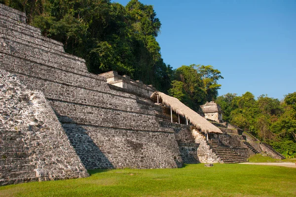 Palenque 'deki Maya harabeleri, Chiapas, Meksika. — Stok fotoğraf