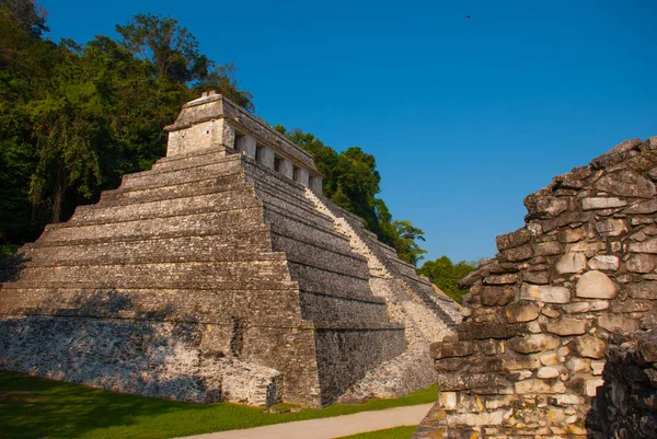 Руины Паленке, город Майя в Чьяпасе, Мексика — стоковое фото