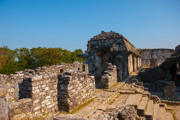 Palenque los restos de una antigua civilización maya, bien conservados en la Selva del estado sureño de Chiapas en el sur de México. Palenque, Chiapas, México . — Foto de Stock