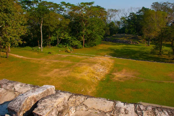 Top view of the jungle and the ancient Mayan city. Palenque, Chiapas, Mexico.