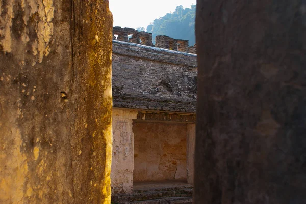 Palenque, Mexiko: En Hall på The Palace, en av de Maya buiding ruiner. Palenque förklarades världsarv av Unesco. — Stockfoto