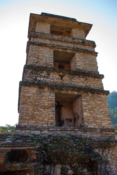 Palenque, Chiapas, Mexiko: The Palace, en av de Maya buiding ruinerna i Palenque. Palatset är krönt med ett fem våningar torn med ett observatorium — Stockfoto