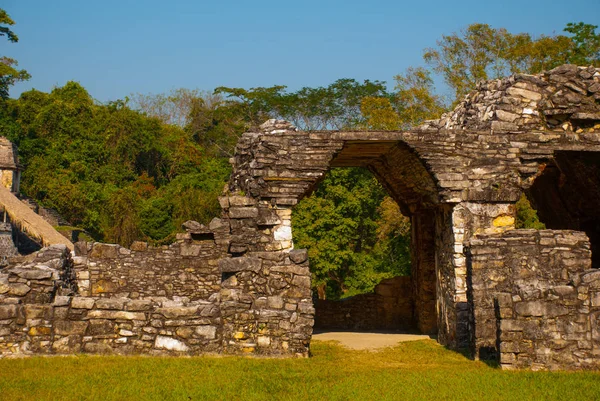 The Palace, Palenque, Chiapas, Meksika: Bir maya buiding Palenque içinde kalıntıları. — Stok fotoğraf