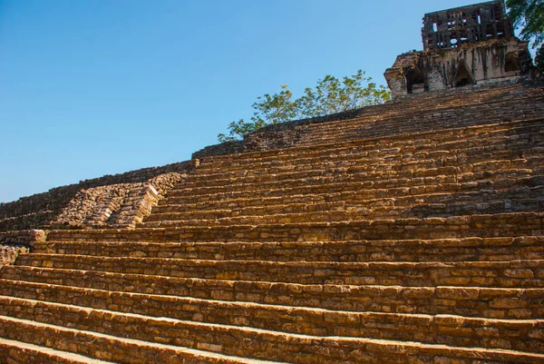 Паленке, Чьяпас, Мексика: Археологическая зона с руинами, искушениями и пирамидами в древнем городе Майя — стоковое фото