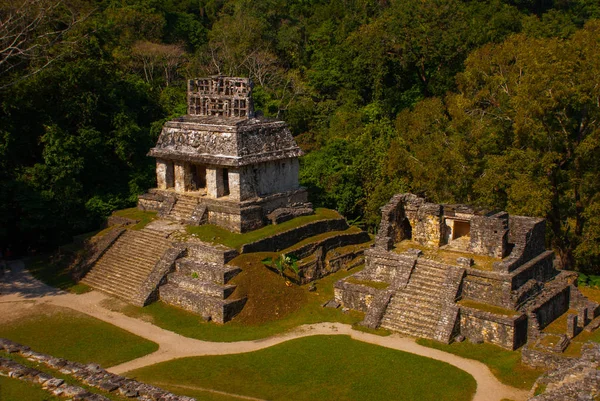 Üstten Görünüm orman ve Antik Maya şehir. Palenque, Chiapas, Meksika.