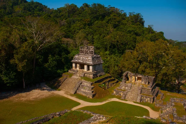 Üstten Görünüm orman ve Antik Maya şehir. Palenque, Chiapas, Meksika.