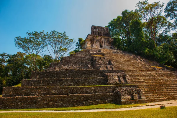Palenque, Chiapas, Mexiko: Obrovské starobylé pyramidy s kroky v archeologickém komplexu. — Stock fotografie