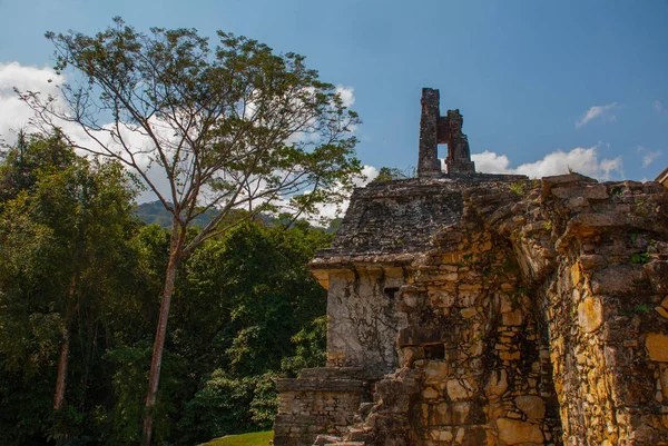 Chiapas, Meksika. Palenque Chiapas ve Meksika Devlet kuzeydoğusunda bir büyük Maya şehir kalıntıları kod adı.