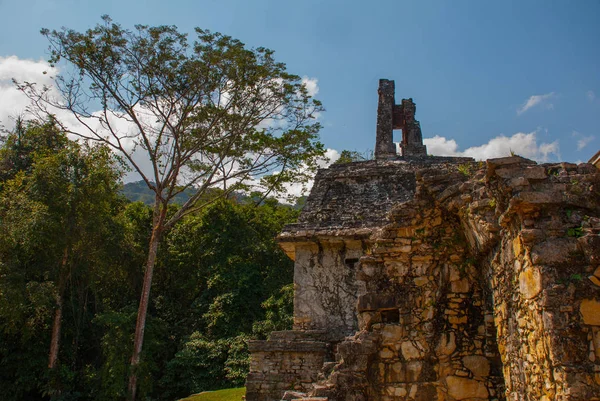 Chiapas, Mexico. Palenque the code name of the ruins of a large Mayan city in the northeast of the Mexican state of Chiapas. — Stock Photo, Image