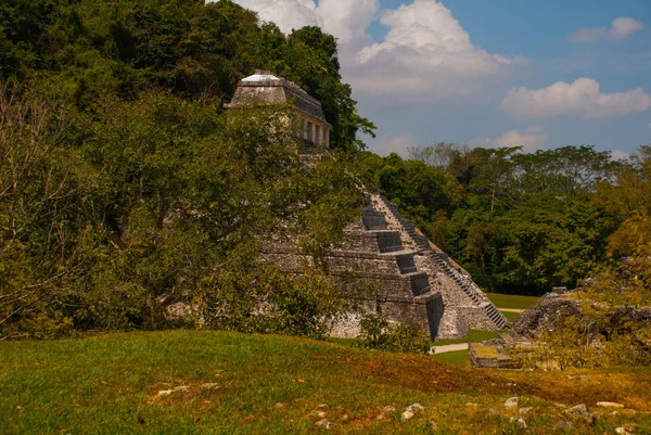 Chiapas, México. Palenque o nome de código das ruínas de uma grande cidade maia no nordeste do estado mexicano de Chiapas . — Fotografia de Stock