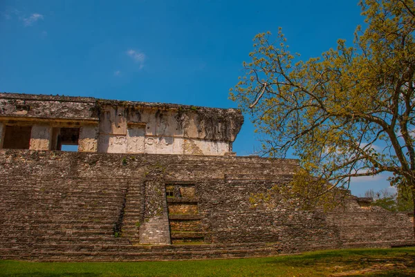 Palenque, Chiapas, México: Zona arqueológica con ruinas, templos y pirámides en la antigua ciudad maya — Foto de Stock