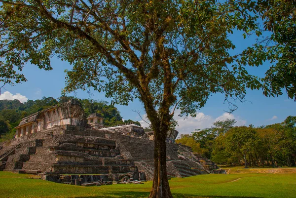 Palenque, Chiapas, México: Ruinas mayas conquistadas por la exuberante selva — Foto de Stock