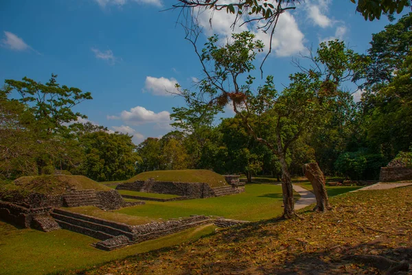 Palenque, Chiapas, Meksika: yemyeşil orman tarafından devir alınmış Maya harabelerini — Stok fotoğraf