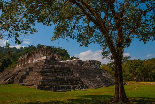 Palenque, Chiapas, México: Ruinas mayas conquistadas por la exuberante selva — Foto de Stock