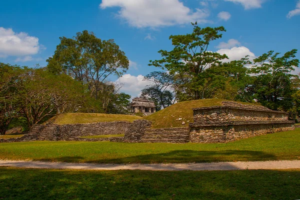 Palenque, Chiapas, Mexico: Mayan ruins taken over by lush jungle — Stock Photo, Image