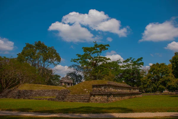 Chiapas, México. Palenque. Las ruinas de la gran ciudad de Maya en el noreste del estado mexicano de Chiapas — Foto de Stock